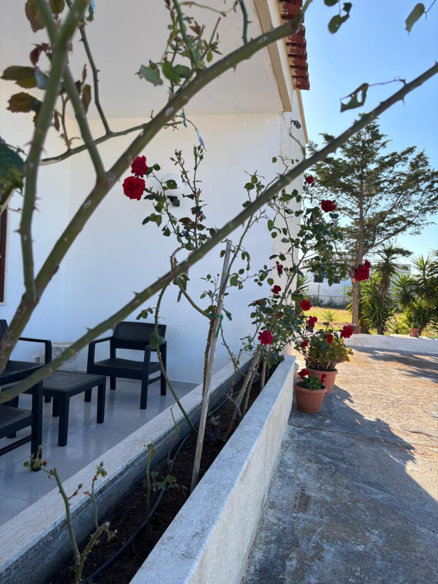 Lilly'S House Villa Torre Santa Sabina Eksteriør bilde